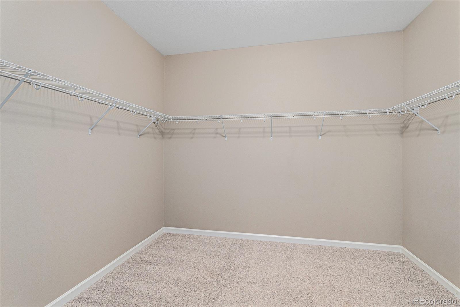 7287 Greenwater Circle Castle Rock CO 80108