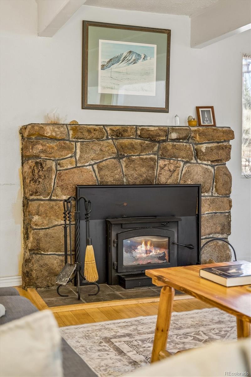 27083 Pine Drive Evergreen CO 80439