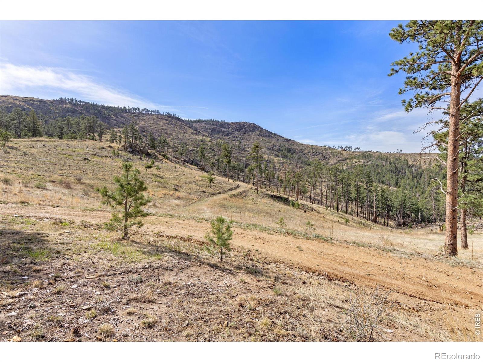 2205 James Park Trail Loveland CO 80537