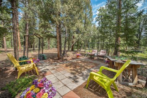 72 Ridge Lane Bailey CO 80421
