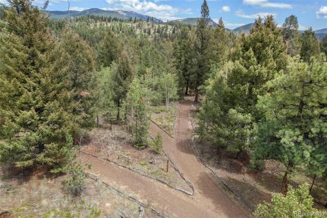 72 Ridge Lane Bailey CO 80421