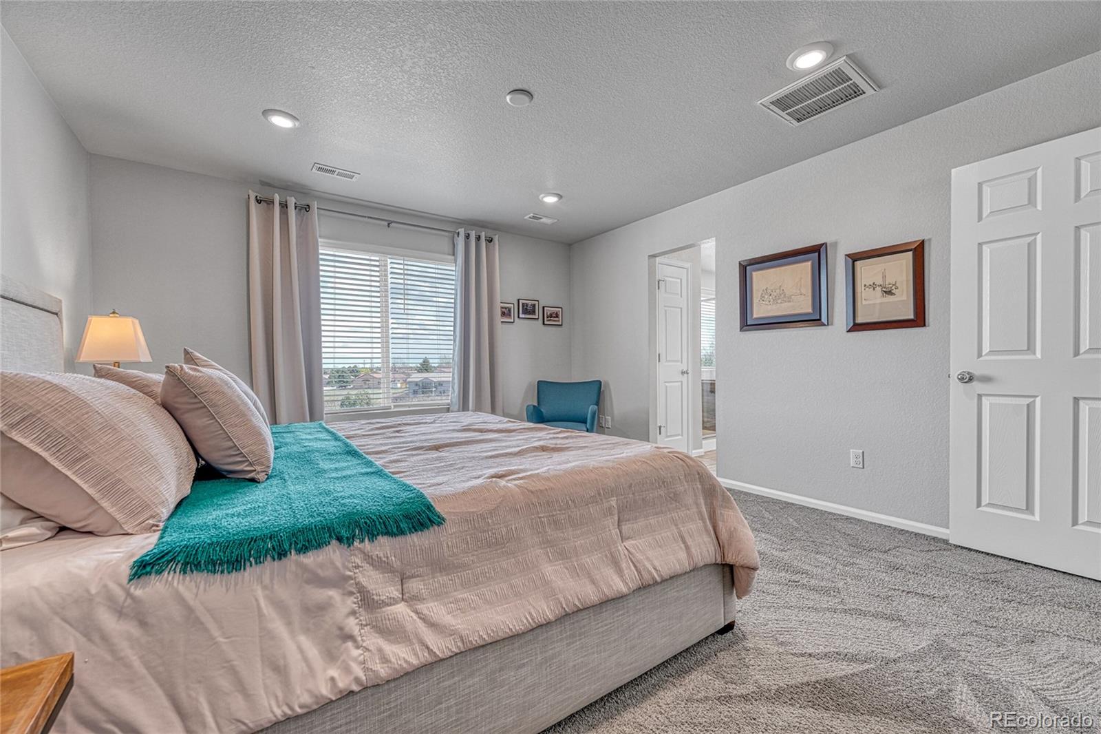 604 Silver Rock Trail Castle Rock CO 80104