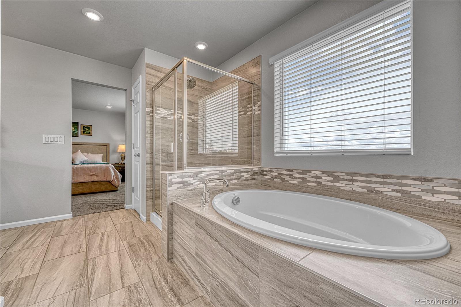 604 Silver Rock Trail Castle Rock CO 80104