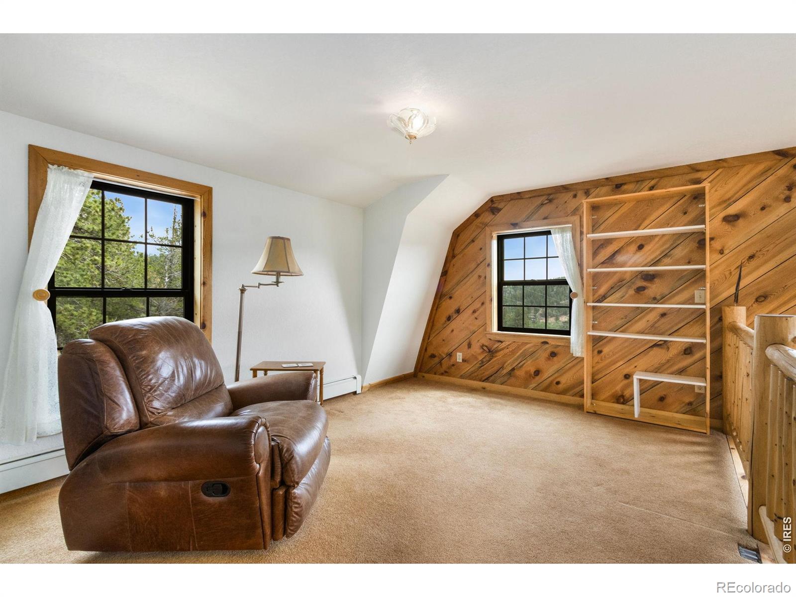 231 Modoc Court Red Feather Lakes CO 80545