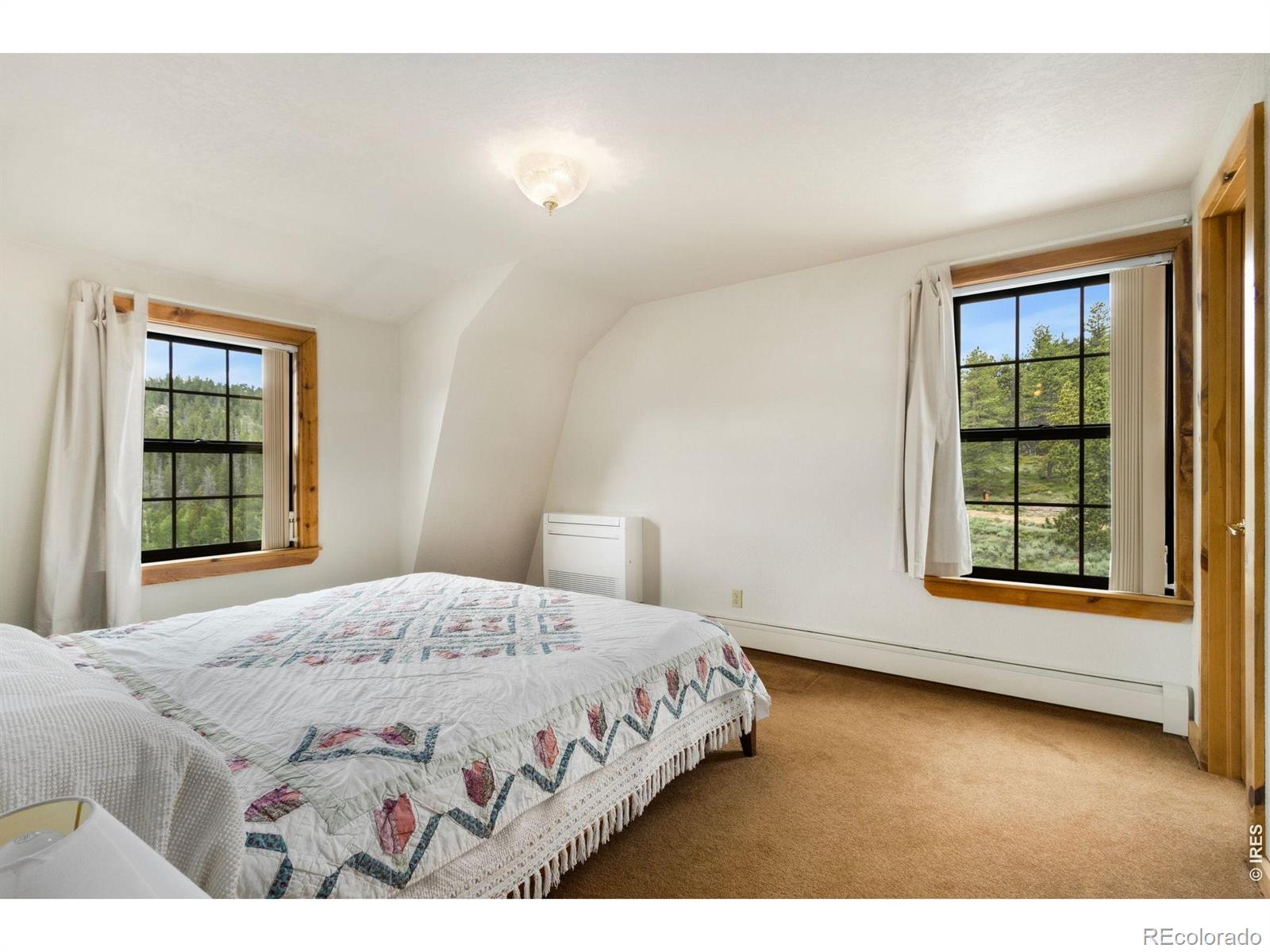 231 Modoc Court Red Feather Lakes CO 80545