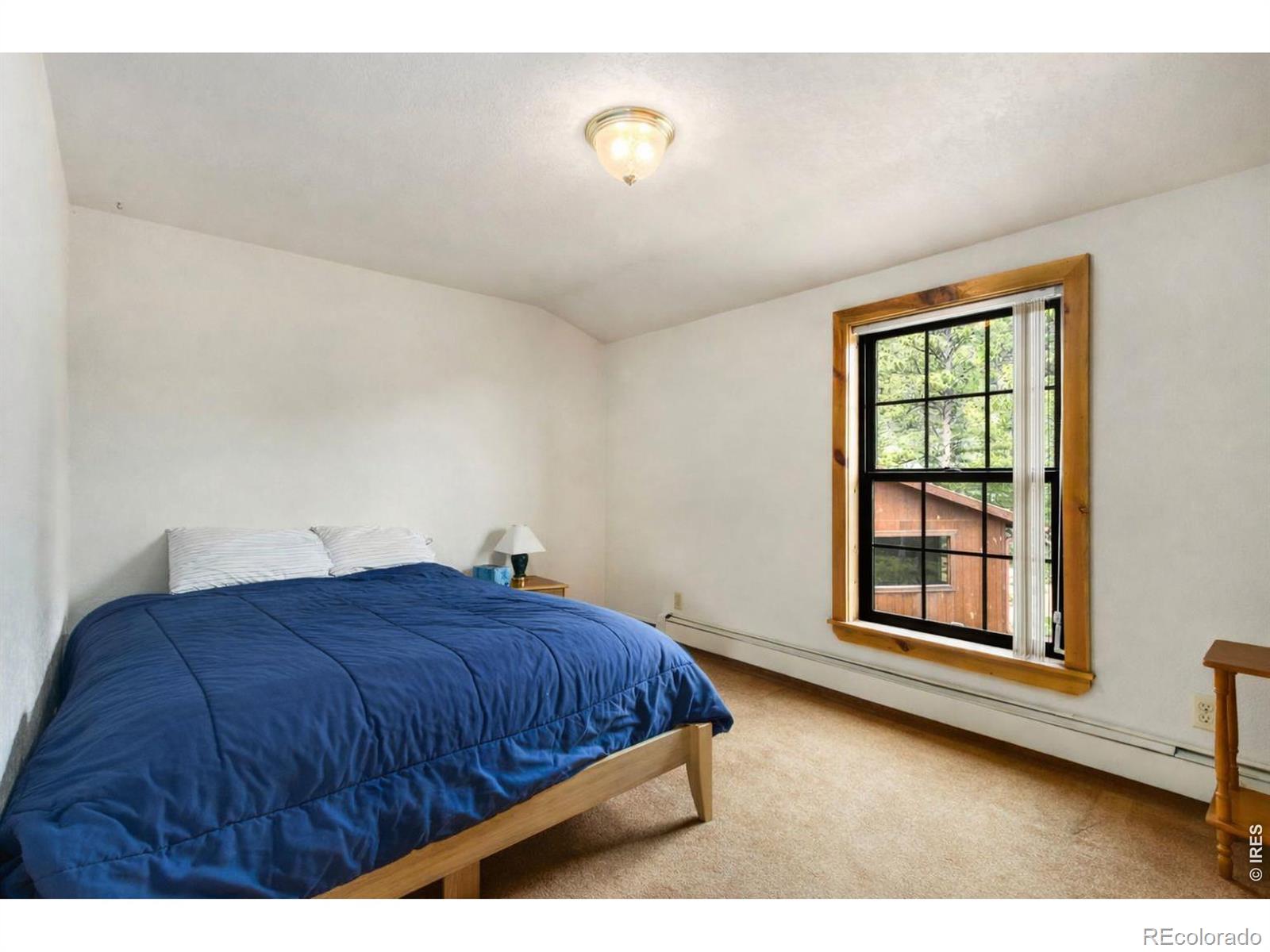 231 Modoc Court Red Feather Lakes CO 80545