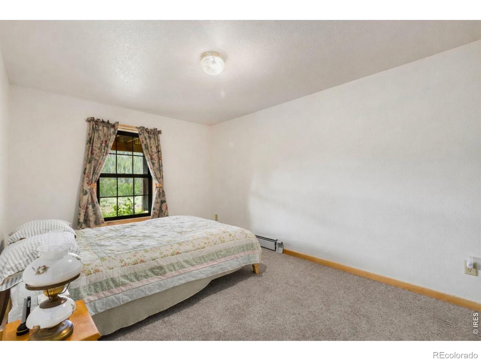 231 Modoc Court Red Feather Lakes CO 80545