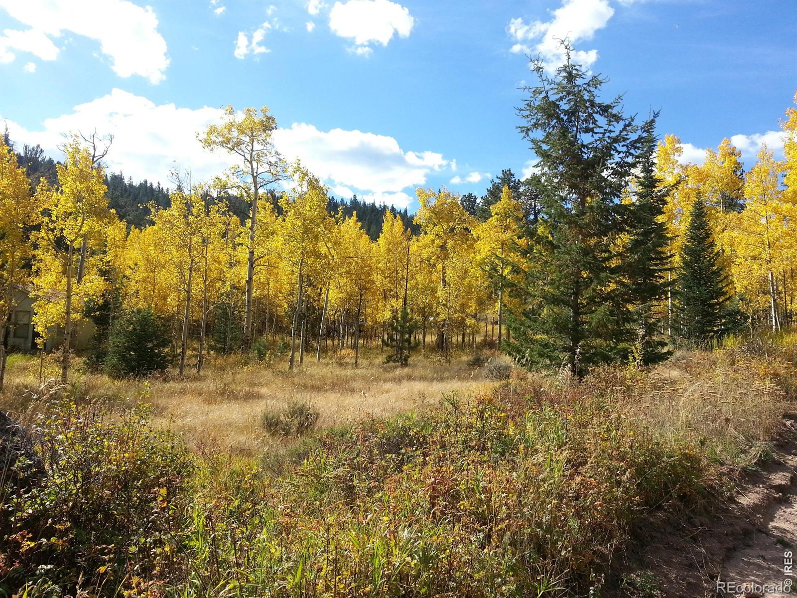 231 Modoc Court Red Feather Lakes CO 80545