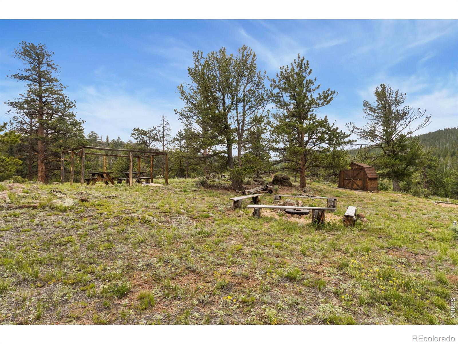 231 Modoc Court Red Feather Lakes CO 80545