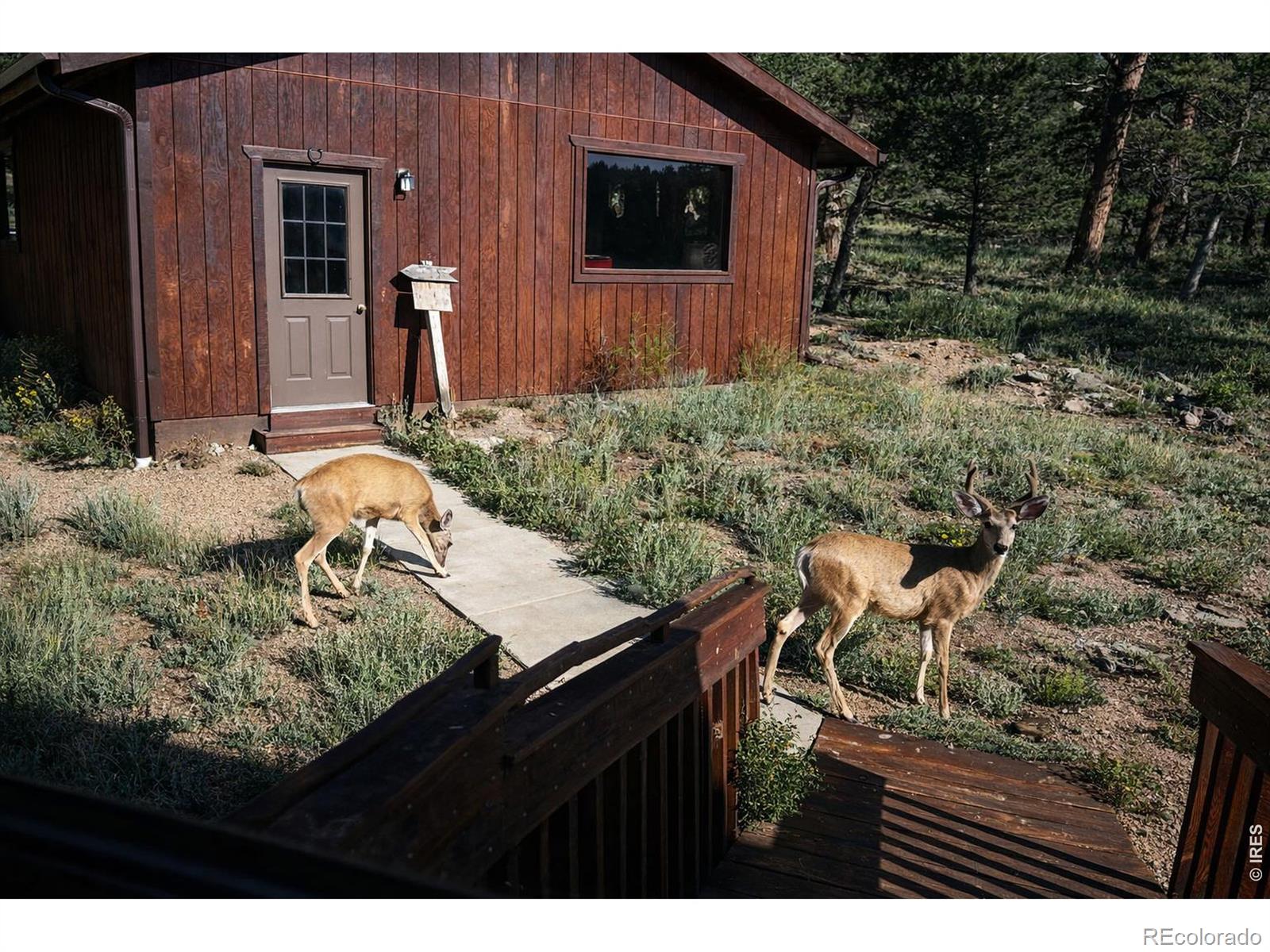 231 Modoc Court Red Feather Lakes CO 80545