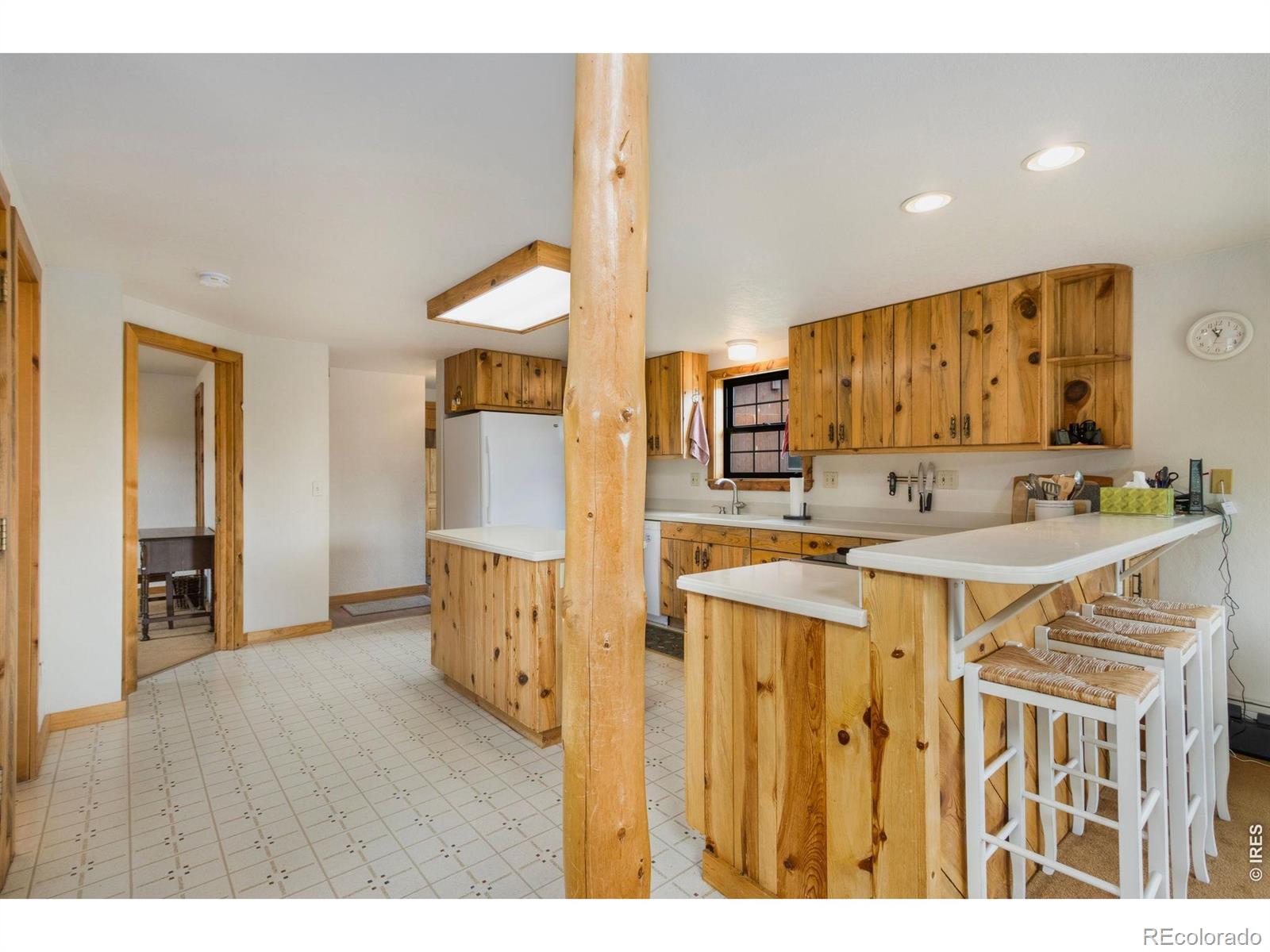 231 Modoc Court Red Feather Lakes CO 80545