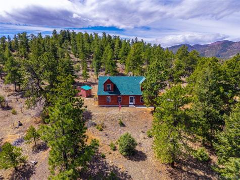1136 Bird Point Drive Cotopaxi CO 81223