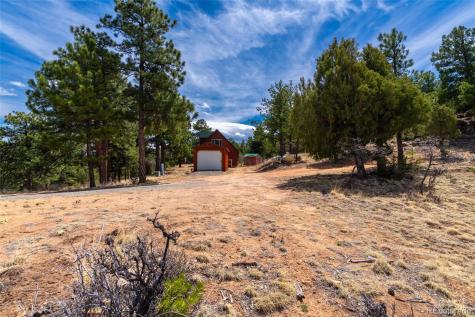1136 Bird Point Drive Cotopaxi CO 81223