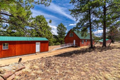 1136 Bird Point Drive Cotopaxi CO 81223