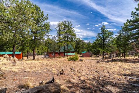 1136 Bird Point Drive Cotopaxi CO 81223