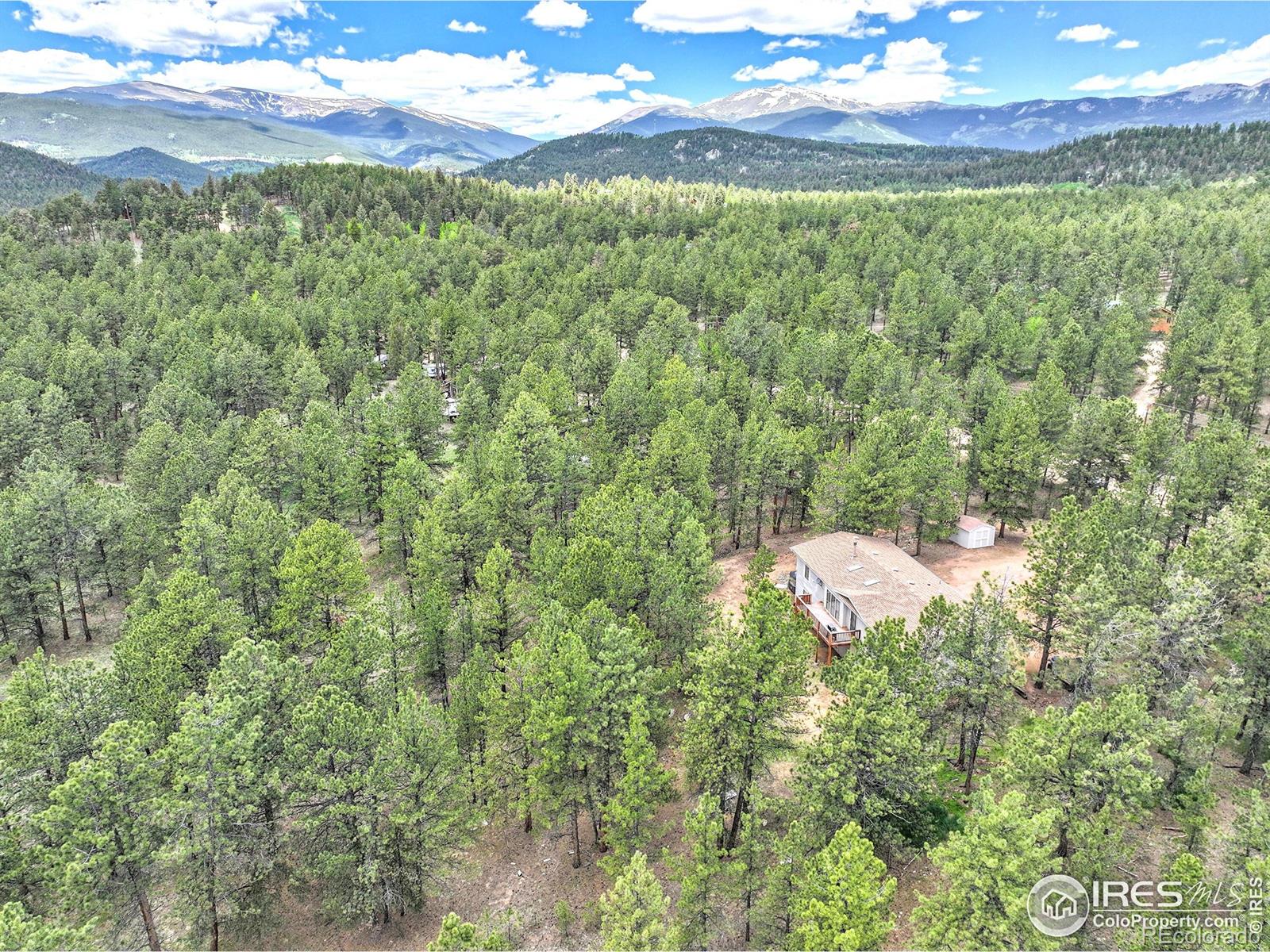 56 Bounty Hunter Lane Bailey CO 80421