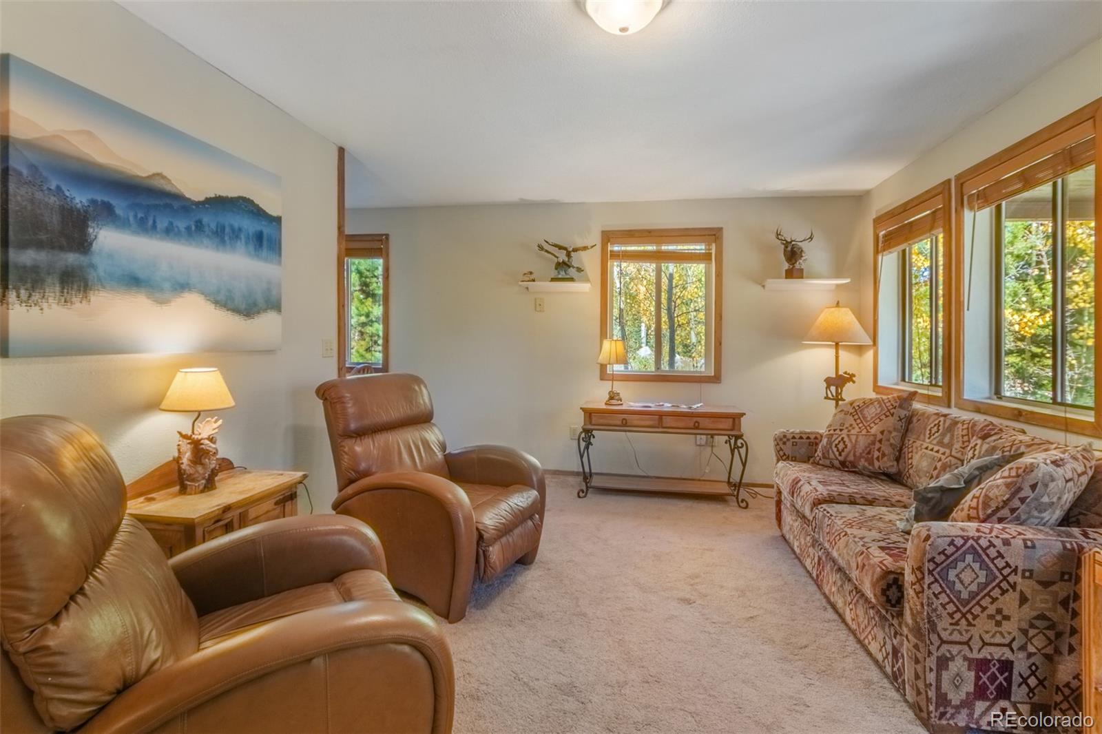 1239 GCR 49 Grand Lake CO 80447