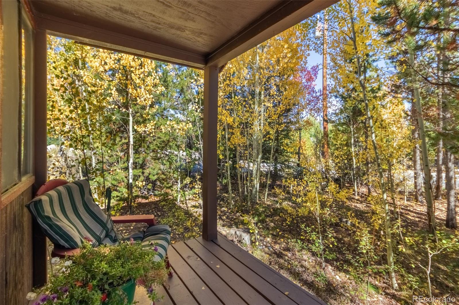1239 GCR 49 Grand Lake CO 80447