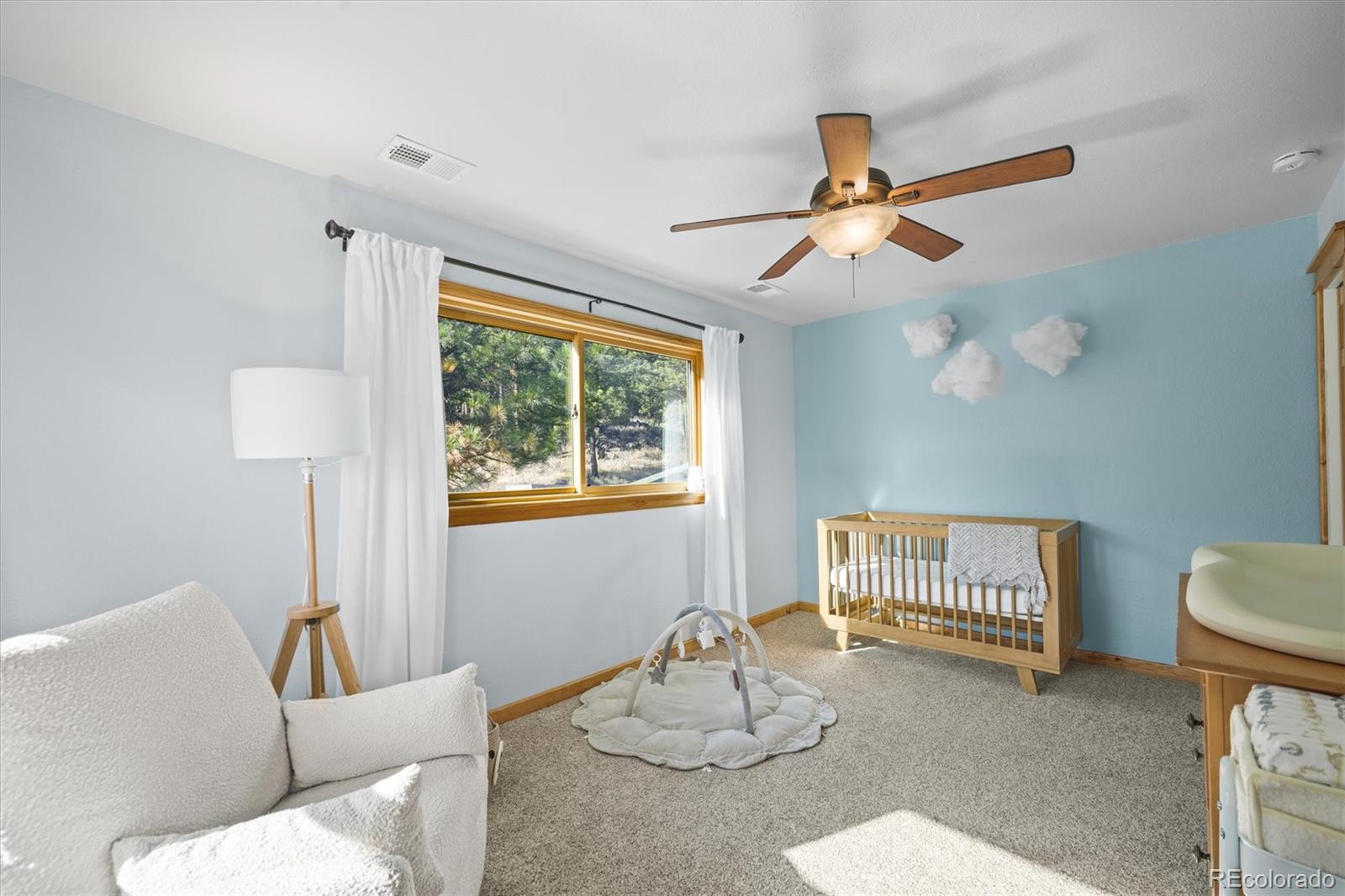 3665 Colard Lane Lyons CO 80540