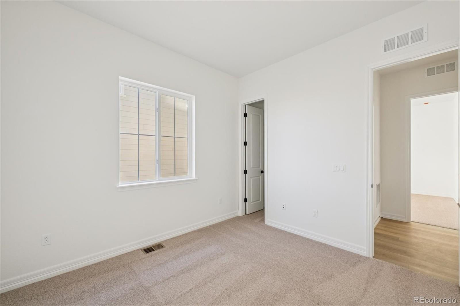 1168 Weller Street Timnath CO 80547