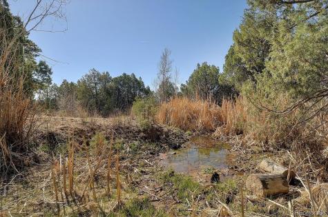 12500 County Road 258a Salida CO 81201