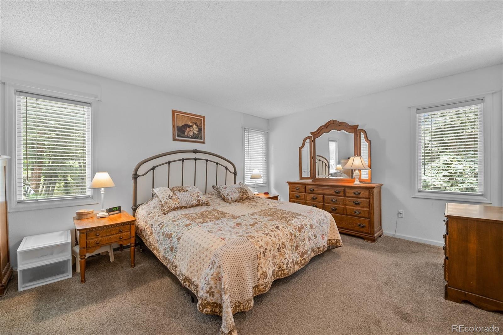 649 Cottonwood Drive Evergreen CO 80439