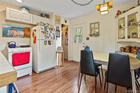 388 Sawmill Lane Idaho Springs CO 80452