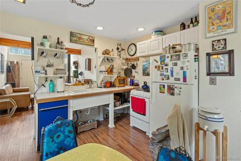 388 Sawmill Lane Idaho Springs CO 80452