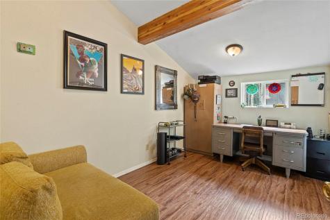 388 Sawmill Lane Idaho Springs CO 80452