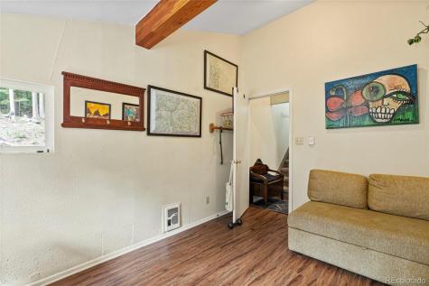 388 Sawmill Lane Idaho Springs CO 80452