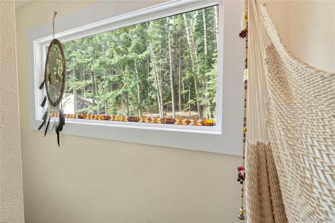 388 Sawmill Lane Idaho Springs CO 80452