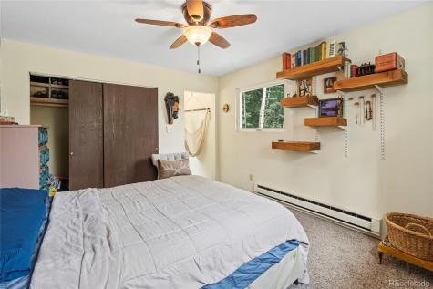 388 Sawmill Lane Idaho Springs CO 80452