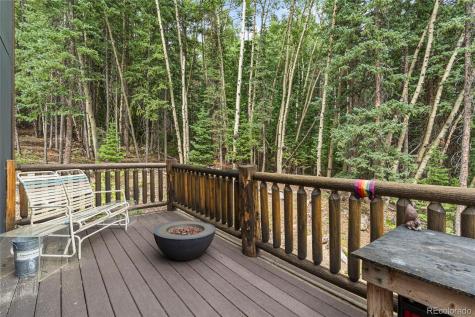 388 Sawmill Lane Idaho Springs CO 80452