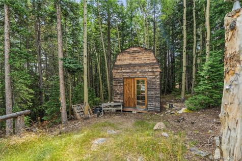 388 Sawmill Lane Idaho Springs CO 80452