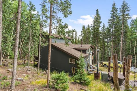 388 Sawmill Lane Idaho Springs CO 80452