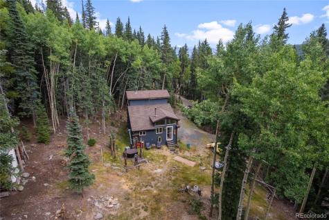 388 Sawmill Lane Idaho Springs CO 80452