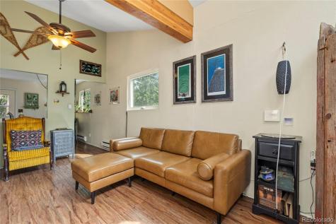 388 Sawmill Lane Idaho Springs CO 80452