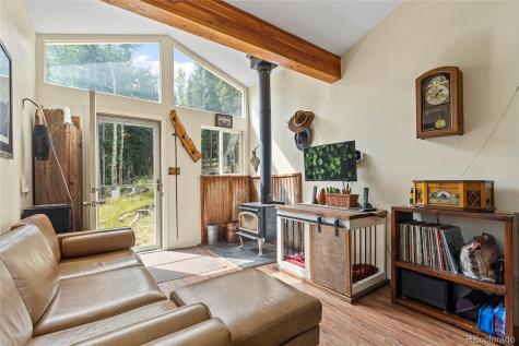 388 Sawmill Lane Idaho Springs CO 80452