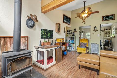 388 Sawmill Lane Idaho Springs CO 80452