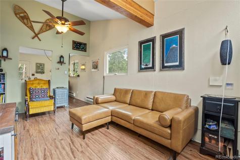 388 Sawmill Lane Idaho Springs CO 80452