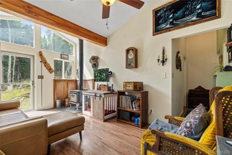 388 Sawmill Lane Idaho Springs CO 80452