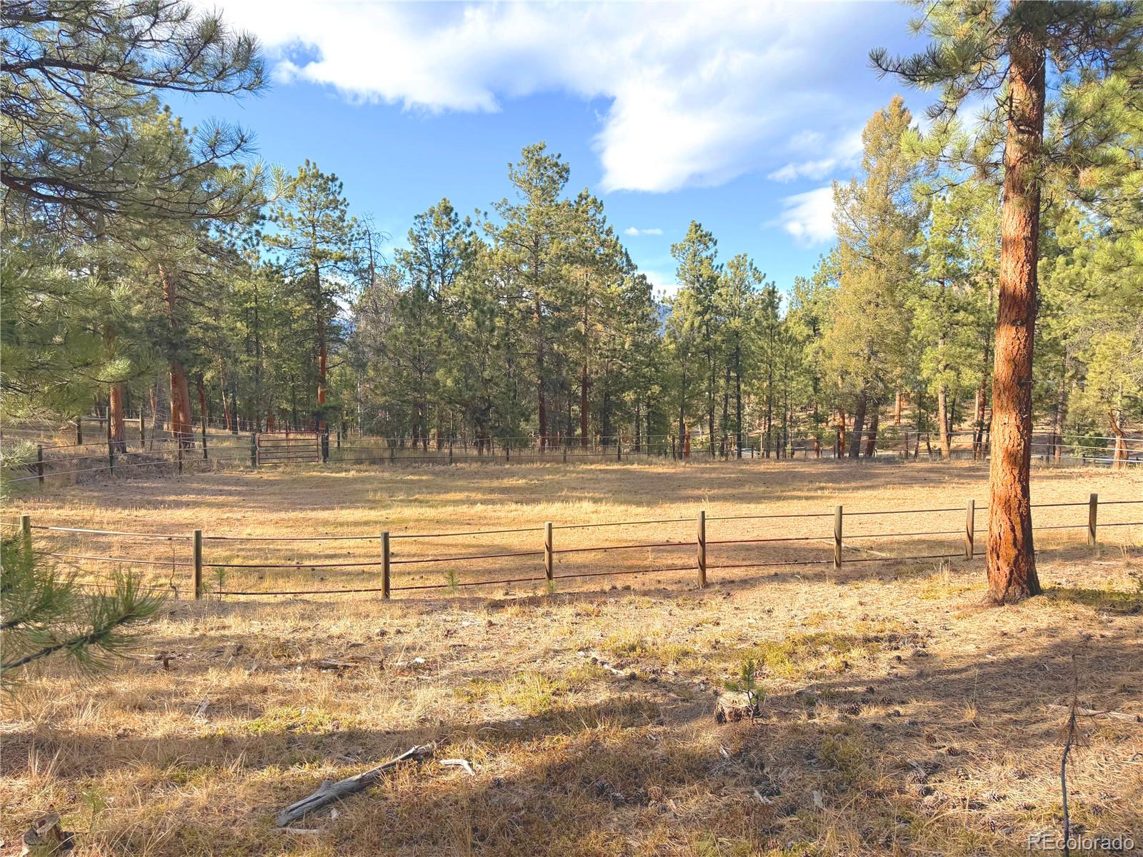 348 Nova Road Pine CO 80470