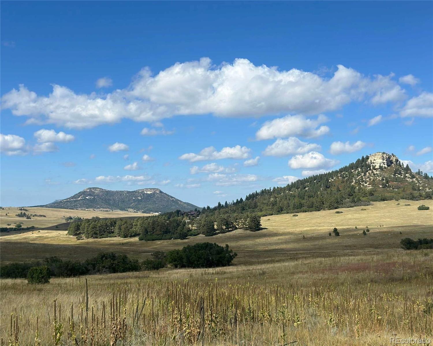 100 W Noe Road Larkspur CO 80118