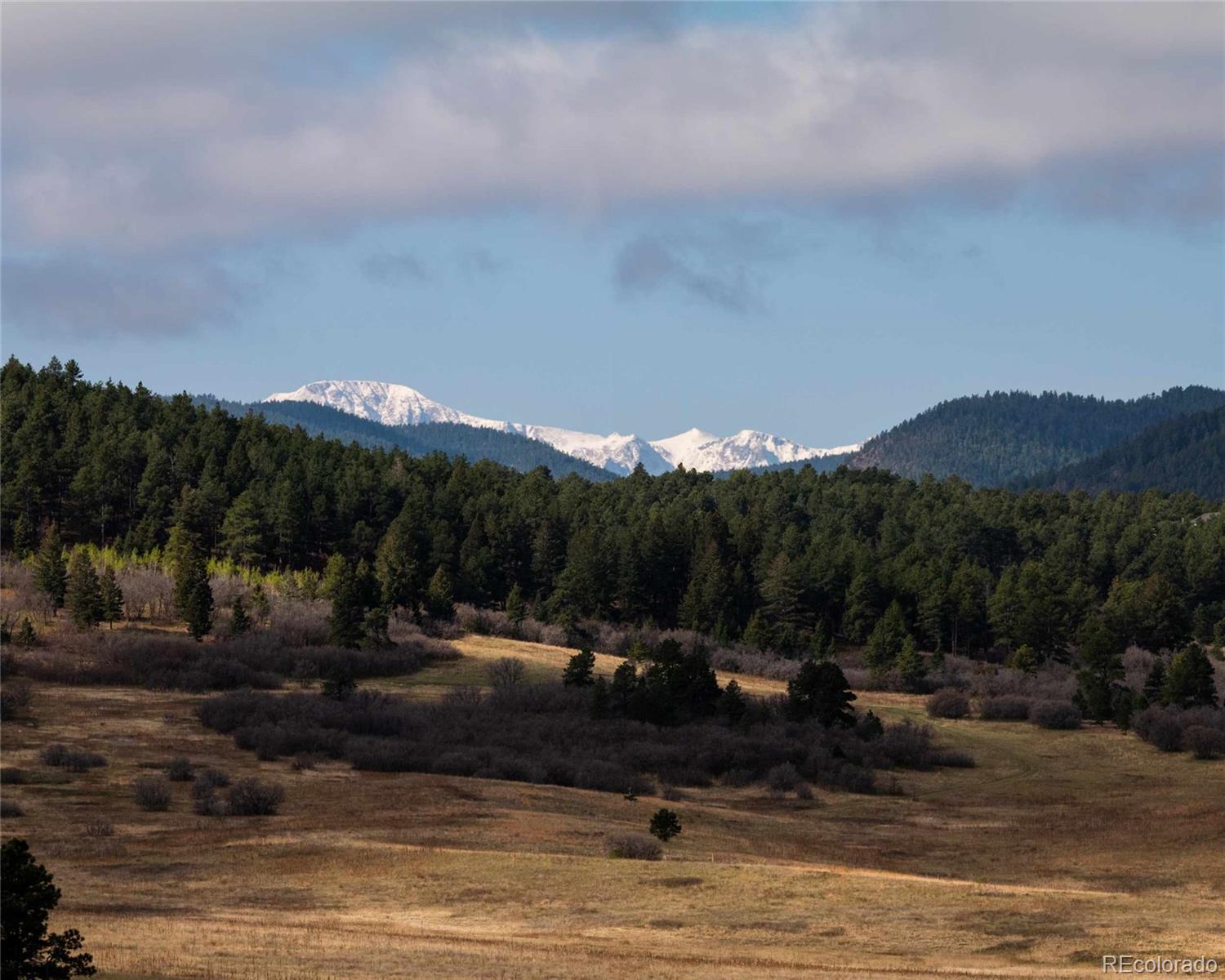 100 W Noe Road Larkspur CO 80118
