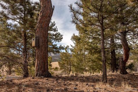 105 Ladigo Lane Hartsel CO 80449