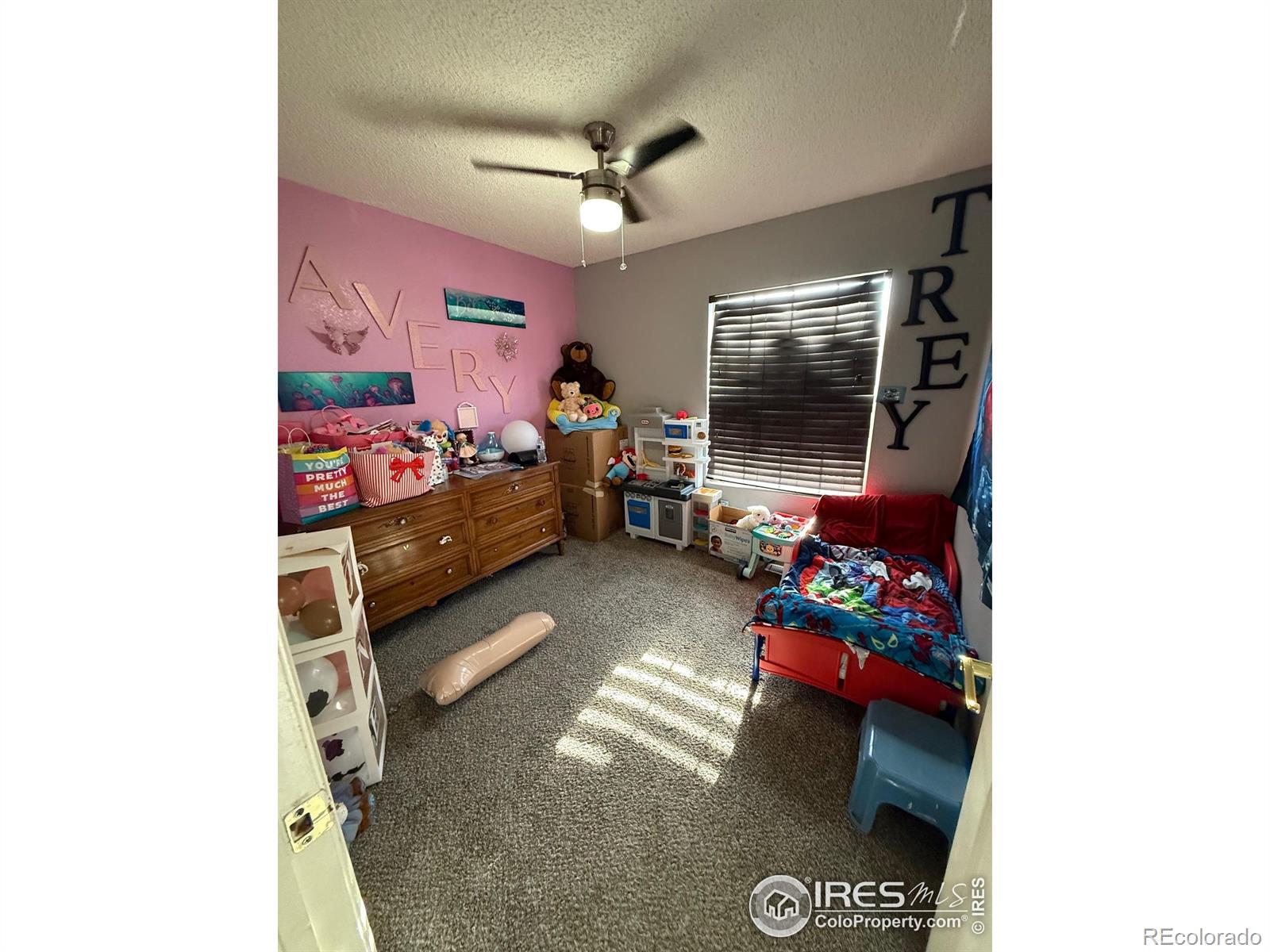 5141 Jasper Street Denver CO 80239