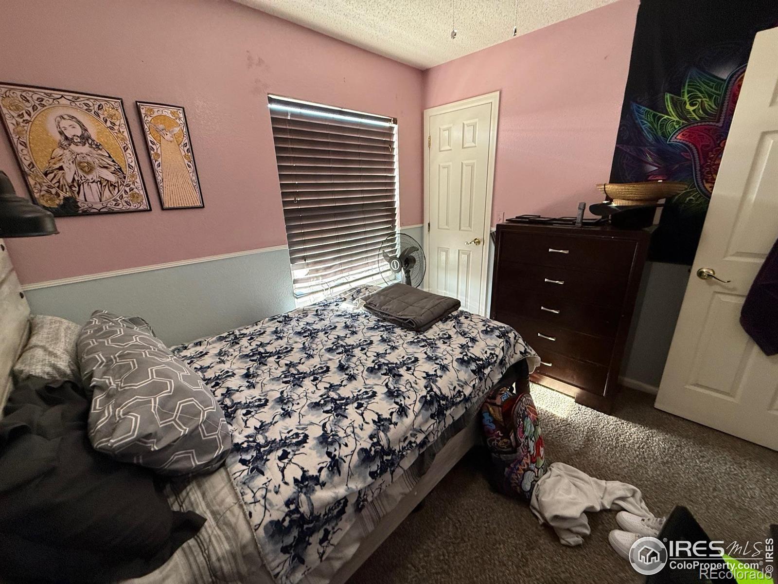 5141 Jasper Street Denver CO 80239