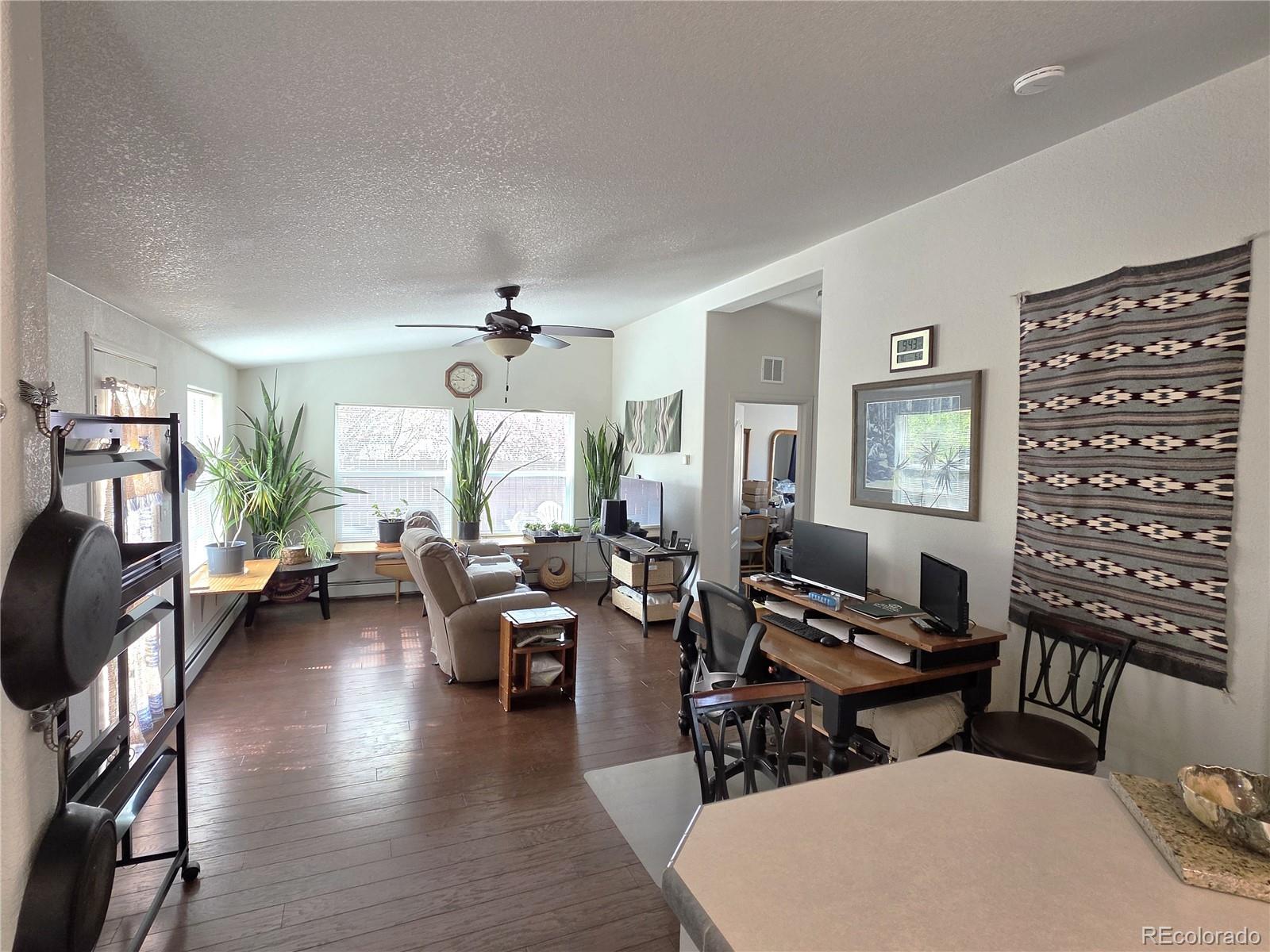 27665 County Road 313 Buena Vista CO 81211