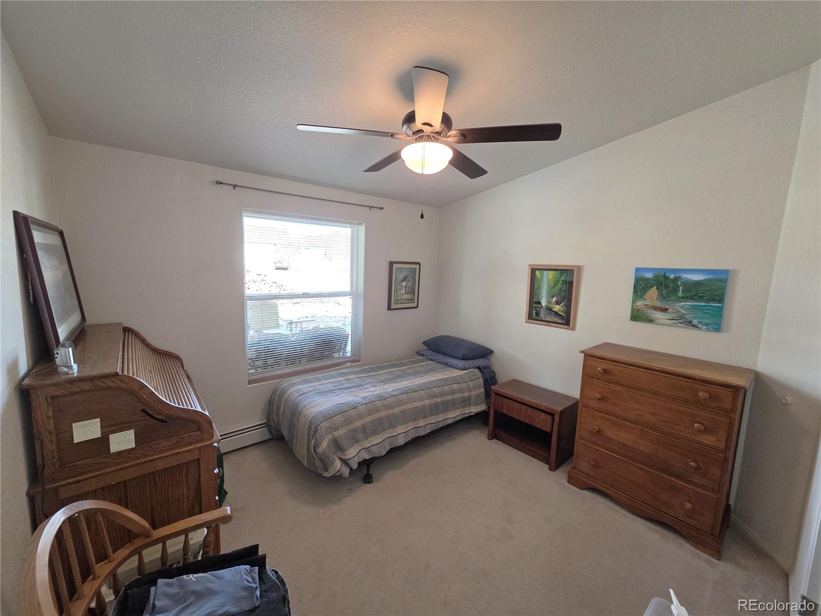 27665 County Road 313 Buena Vista CO 81211