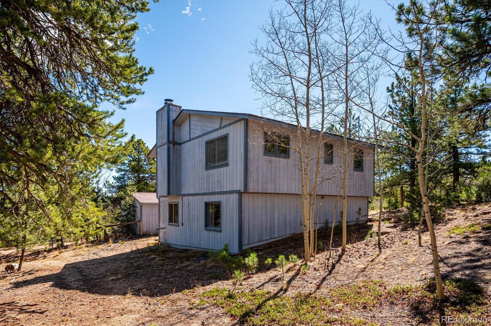 55 W Crosscut Bailey CO 80421